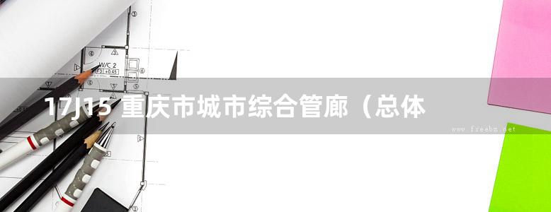 17J15 重庆市城市综合管廊（总体及附属设施）标准图集 第一册 总体工程 DJBT-101(图集)